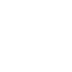20 ans d'expérience